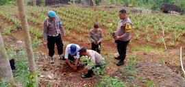  Sinergitas Polri bersama dengan Pemerintah Kalurahan Salam untuk penghijauan 