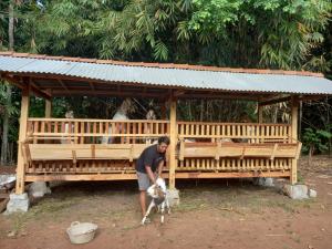 Budidaya kambing